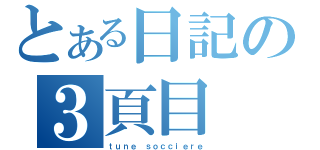 とある日記の３頁目（ｔｕｎｅ ｓｏｃｃｉｅｒｅ）