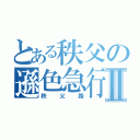 とある秩父の遜色急行Ⅱ（秩父路）