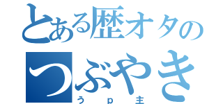 とある歴オタのつぶやき（うｐ主）