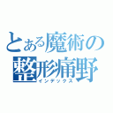 とある魔術の整形痛野（インデックス）