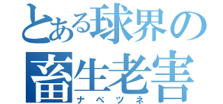 とある球界の畜生老害（ナベツネ）