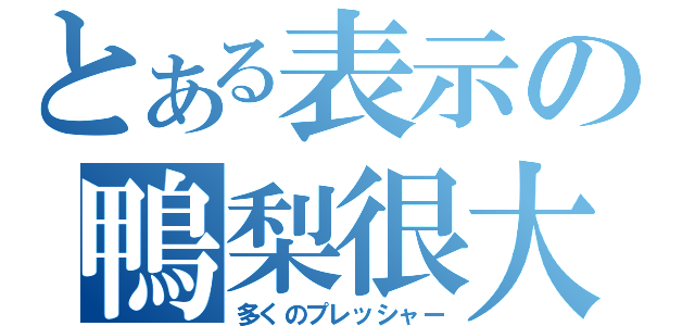 とある表示の鴨梨很大（多くのプレッシャー）