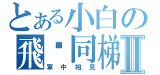 とある小白の飛碟同梯Ⅱ（軍中相見）