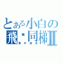 とある小白の飛碟同梯Ⅱ（軍中相見）