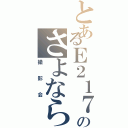 とあるＥ２１７系のさよなら撮影会（撮影会）