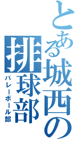 とある城西の排球部（バレーボール部）