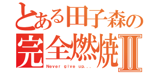 とある田子森の完全燃焼Ⅱ（Ｎｅｖｅｒ ｇｉｖｅ ｕｐ．．．）