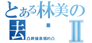 とある林美の去 你 媽Ⅱ（凸幹操靠媽的凸）