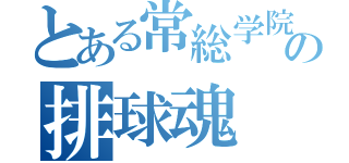 とある常総学院の排球魂（）