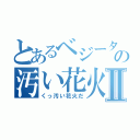 とあるベジータの汚い花火Ⅱ（くっ汚い花火だ）