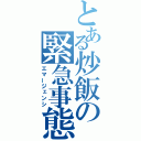 とある炒飯の緊急事態（エマージェンシ）