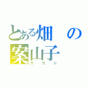 とある畑の案山子（カカシ）