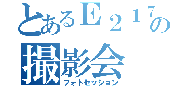 とあるＥ２１７系の撮影会（フォトセッション）