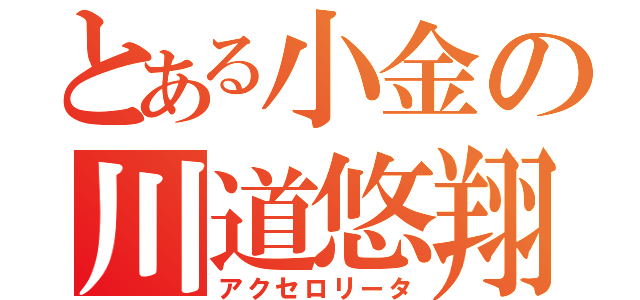 とある小金の川道悠翔（アクセロリータ）