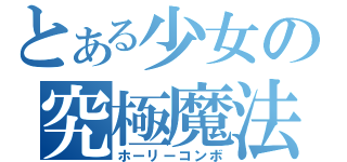 とある少女の究極魔法（ホーリーコンボ）