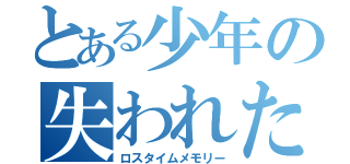 とある少年の失われた記憶（ロスタイムメモリー）