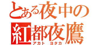 とある夜中の紅都夜鷹（アカト ヨタカ）