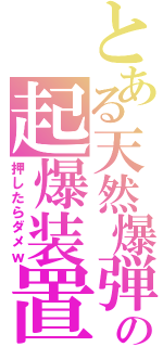 とある天然爆弾の起爆装置（押したらダメｗ）