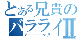 とある兄貴のバラライカⅡ（アーーーーッ♂）