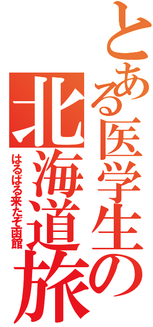 とある医学生の北海道旅行（はるばる来たぞ函館）
