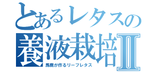 とあるレタスの養液栽培Ⅱ（馬鹿が作るリーフレタス）