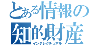 とある情報の知的財産（インテレクチュアル）