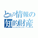 とある情報の知的財産（インテレクチュアル）