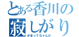 とある香川の寂しがり屋（かまってちゃんか）