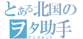 とある北国のヲタ助手（アシスタント）