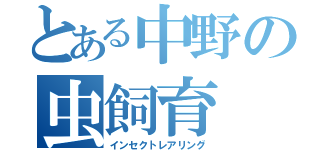 とある中野の虫飼育（インセクトレアリング）