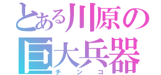 とある川原の巨大兵器（チ  ン  コ）