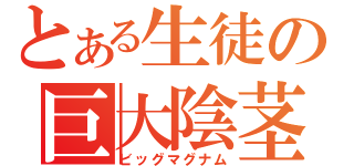 とある生徒の巨大陰茎（ビッグマグナム）