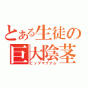 とある生徒の巨大陰茎（ビッグマグナム）