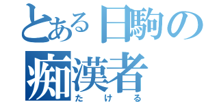 とある日駒の痴漢者（たける）