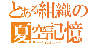 とある組織の夏空記憶（サマータイムレコード）