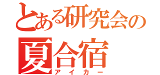 とある研究会の夏合宿（アイカー）