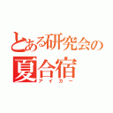 とある研究会の夏合宿（アイカー）