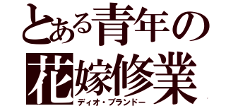 とある青年の花嫁修業（ディオ・ブランドー）