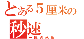 とある５厘米の秒速（一瞬の永恆）