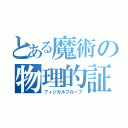 とある魔術の物理的証明（フィジカルプルーフ）