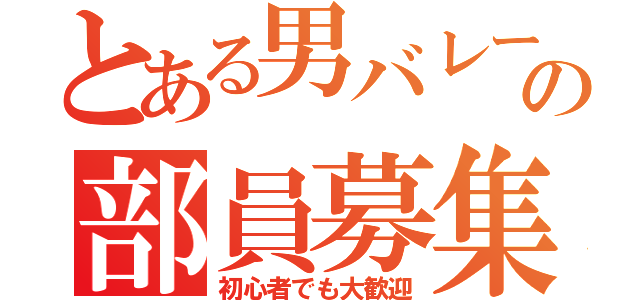 とある男バレーの部員募集（初心者でも大歓迎）