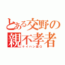 とある交野の親不孝者（ケイハン直Ｑ）