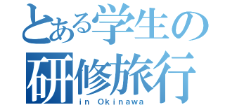 とある学生の研修旅行（ｉｎ Ｏｋｉｎａｗａ）