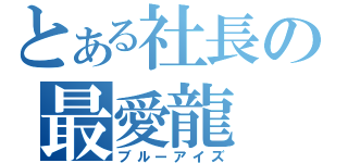 とある社長の最愛龍（ブルーアイズ）