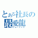 とある社長の最愛龍（ブルーアイズ）