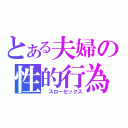 とある夫婦の性的行為　（　スローセックス）