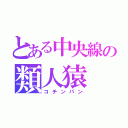 とある中央線の類人猿（コチンパン）