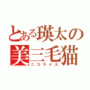 とある瑛太の美三毛猫（ニコライス）