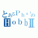 とあるＰｈａｌａｎｘのＨｏｂｂｙ ｒｅｃｏｒｄⅡ（）