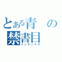 とある青の禁書目（インデックス）